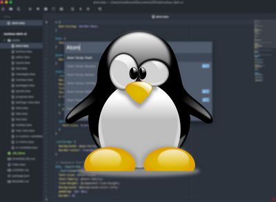 Linux для программистов
